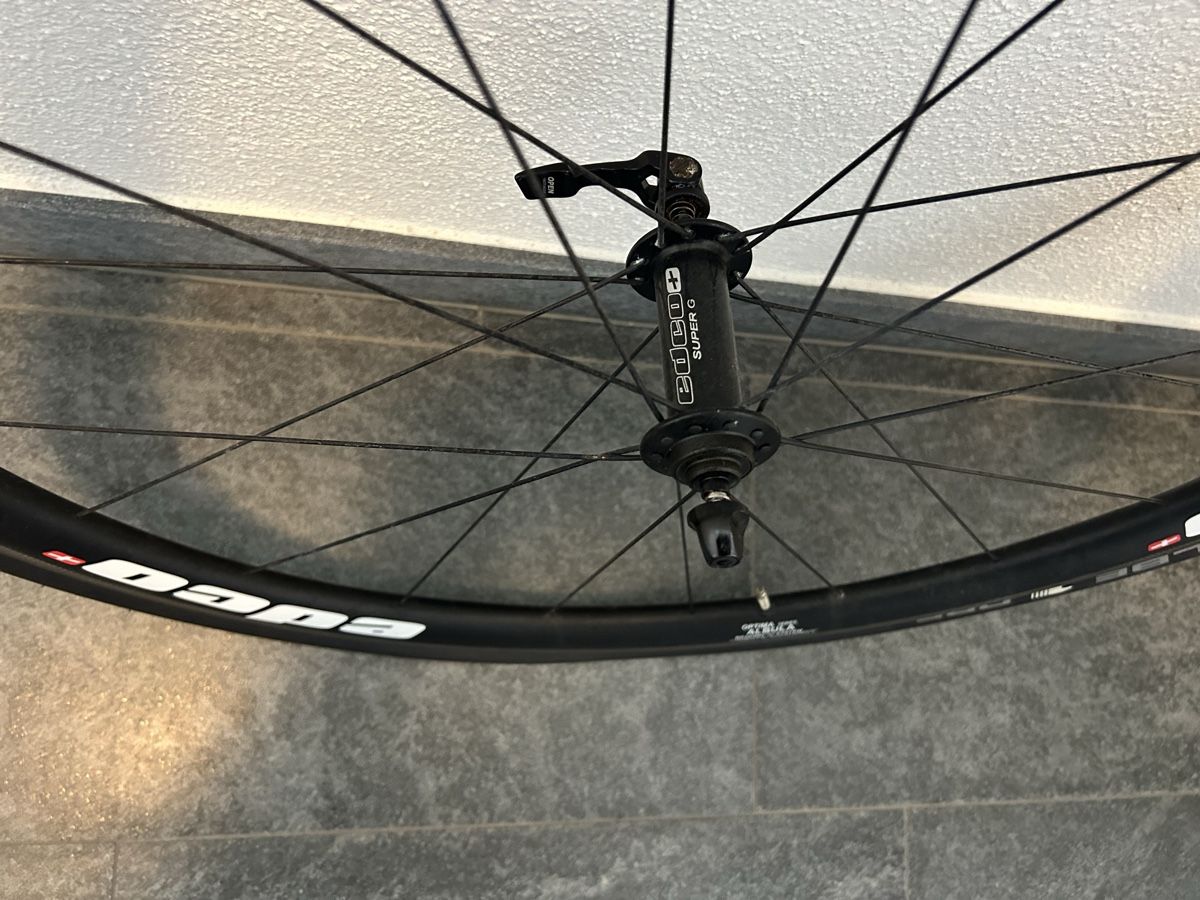 Pezzi di ricambio: Carbon Rad von Edco  – Usato da Flüelen venduto da johnny78 1