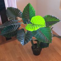 XXL Kunstpflanze Alocasia Elefantenohr mit Topf