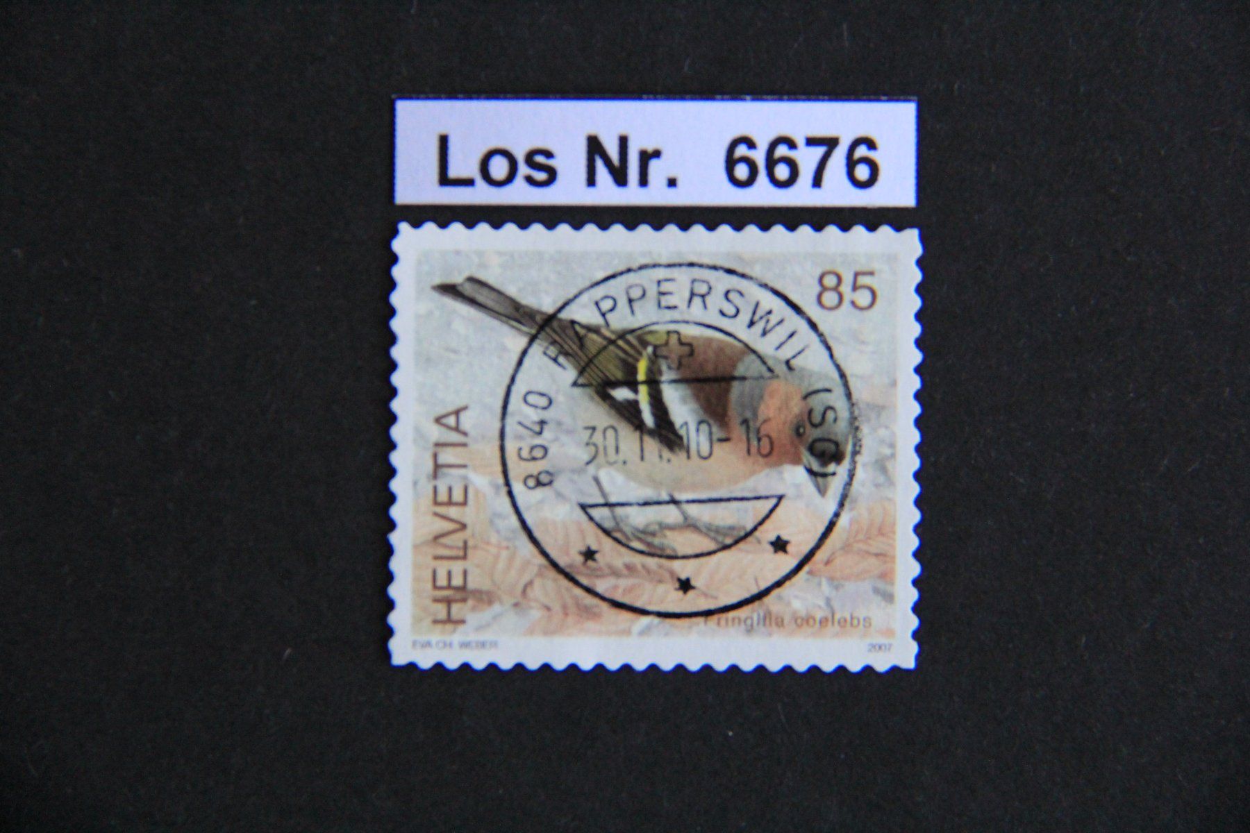 Tutti i francobolli: CH 2007 sauberer Vollstempel                        Los 6676 – Usato da Volken venduto da jukon65