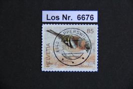 CH 2007 sauberer Vollstempel                        Los 6676
