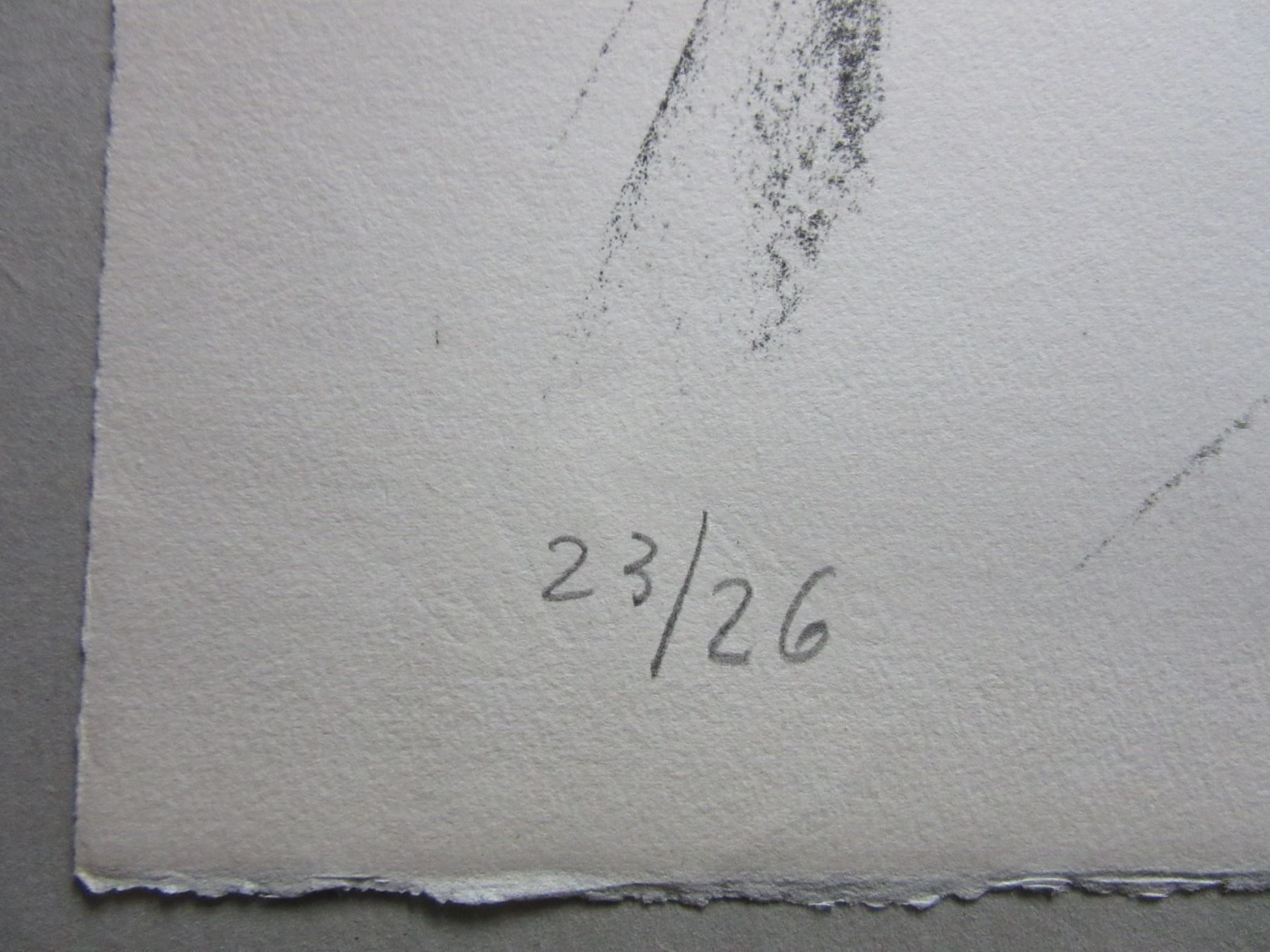 Grafica & Litografie: KARL MADRITSCH LITHOGRAPHIE SIGNIERT – Usato da Gersau venduto da kunst-online 3