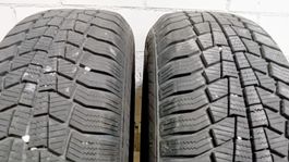 Ganzajresreifen 195/65 R15 Gislaved, 2St.
