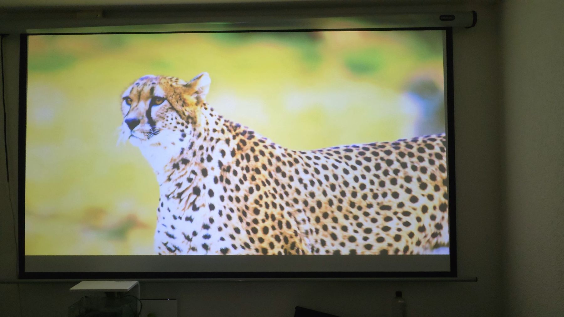 Acer Proiettori: Acer m550 – Usato da Tentlingen venduto da pir_dlj9 4