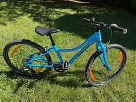 Naloo Kindervelo 24 Zoll Chameleon