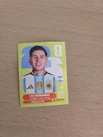 Carte FIFA Panini Enzo Fernandez  FC Argentina