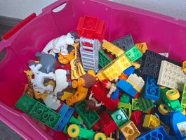 Duplo