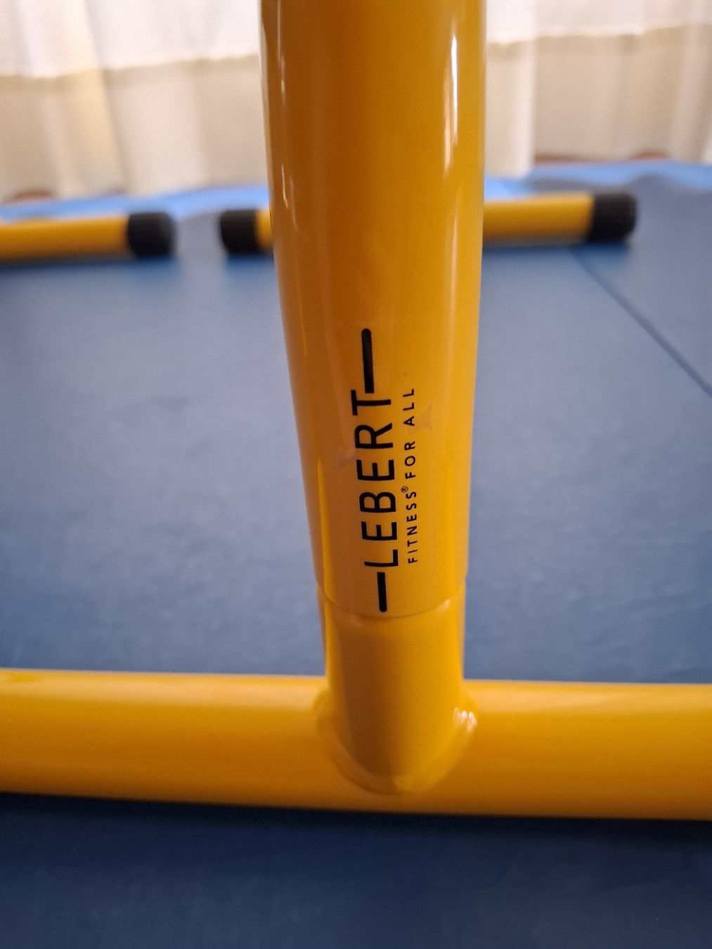 Hometrainer: Barres parallèles Lebert Fitness – Usato da Le Locle venduto da Maria.222 2