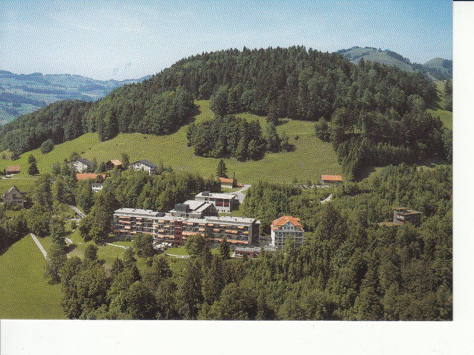 Cartoline postali: Faltiberg-Wald 1 um 1980 – Usato da Bürglen TG venduto da StampGraf