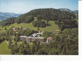 Faltiberg-Wald 1 um 1980