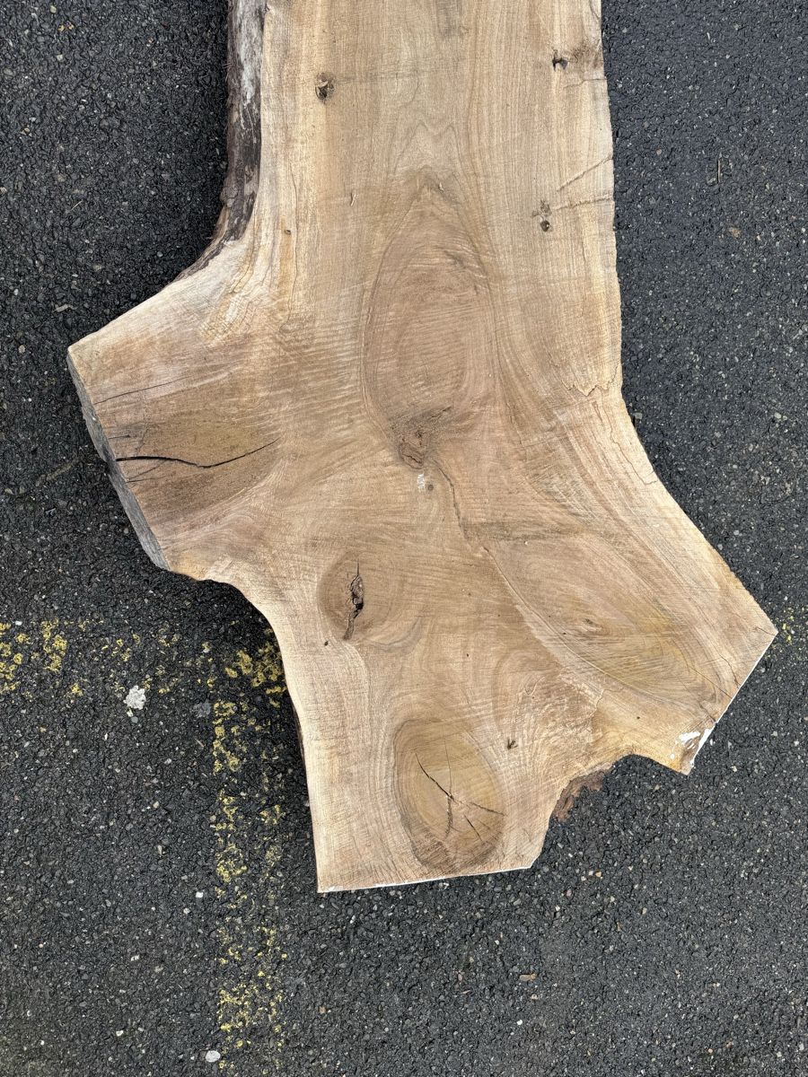 Articoli in legno: Nussbaum Klotzbrett 275  cm lang! – Usato da Gränichen venduto da onkel_xxl 2