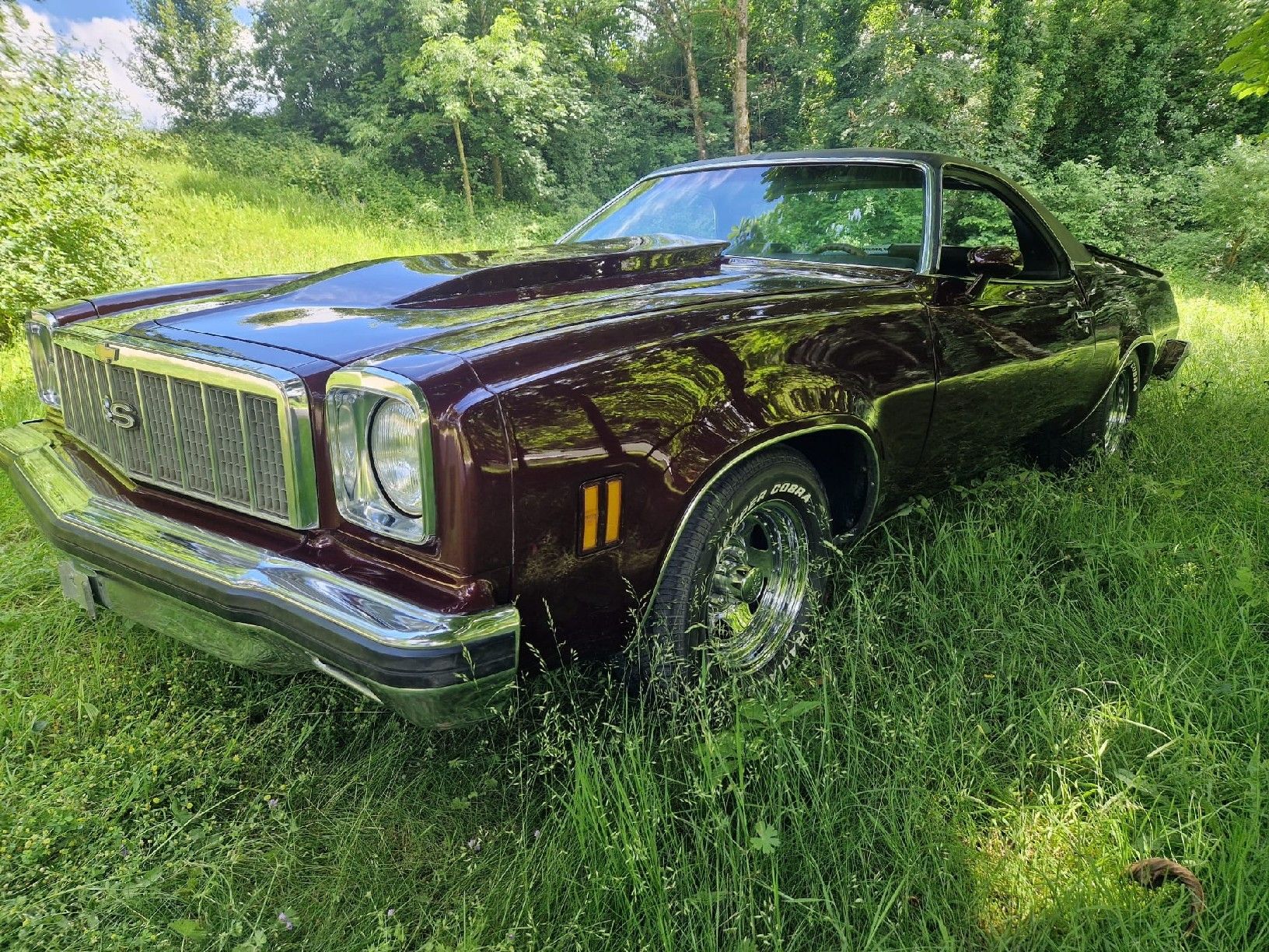 Chevrolet Automobili: Chevrolet El Camino SS – Usato da würenlos venduto da Flap1