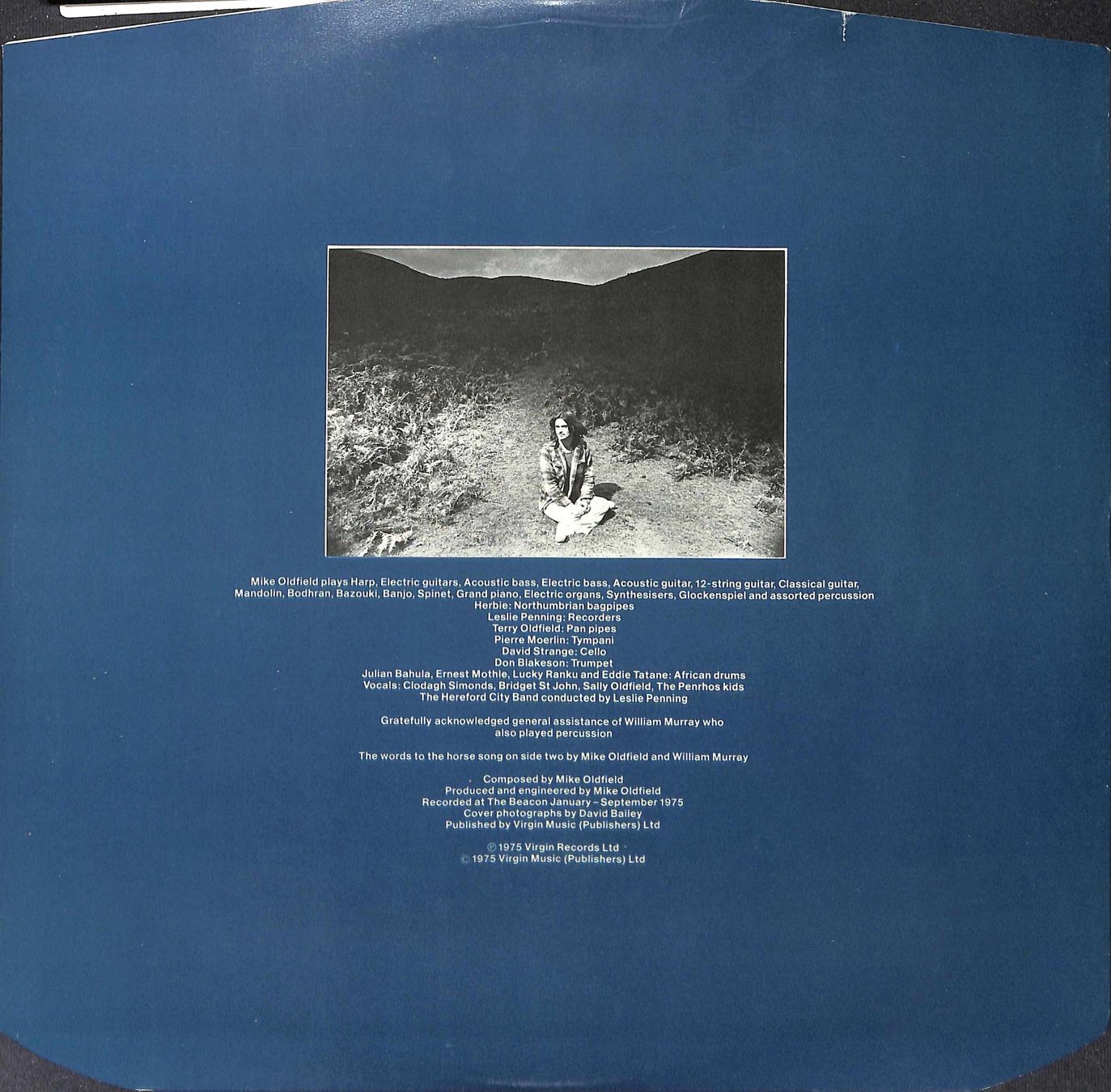 Dischi in vinile: LP: Mike Oldfield - Ommadawn – Usato da Trimmis venduto da Dres2 1