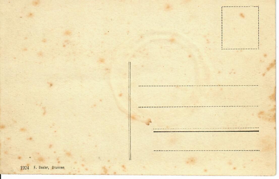 Cartoline postali: Brunnen 1910 – Usato da Hochdorf venduto da Ziegel-16 1