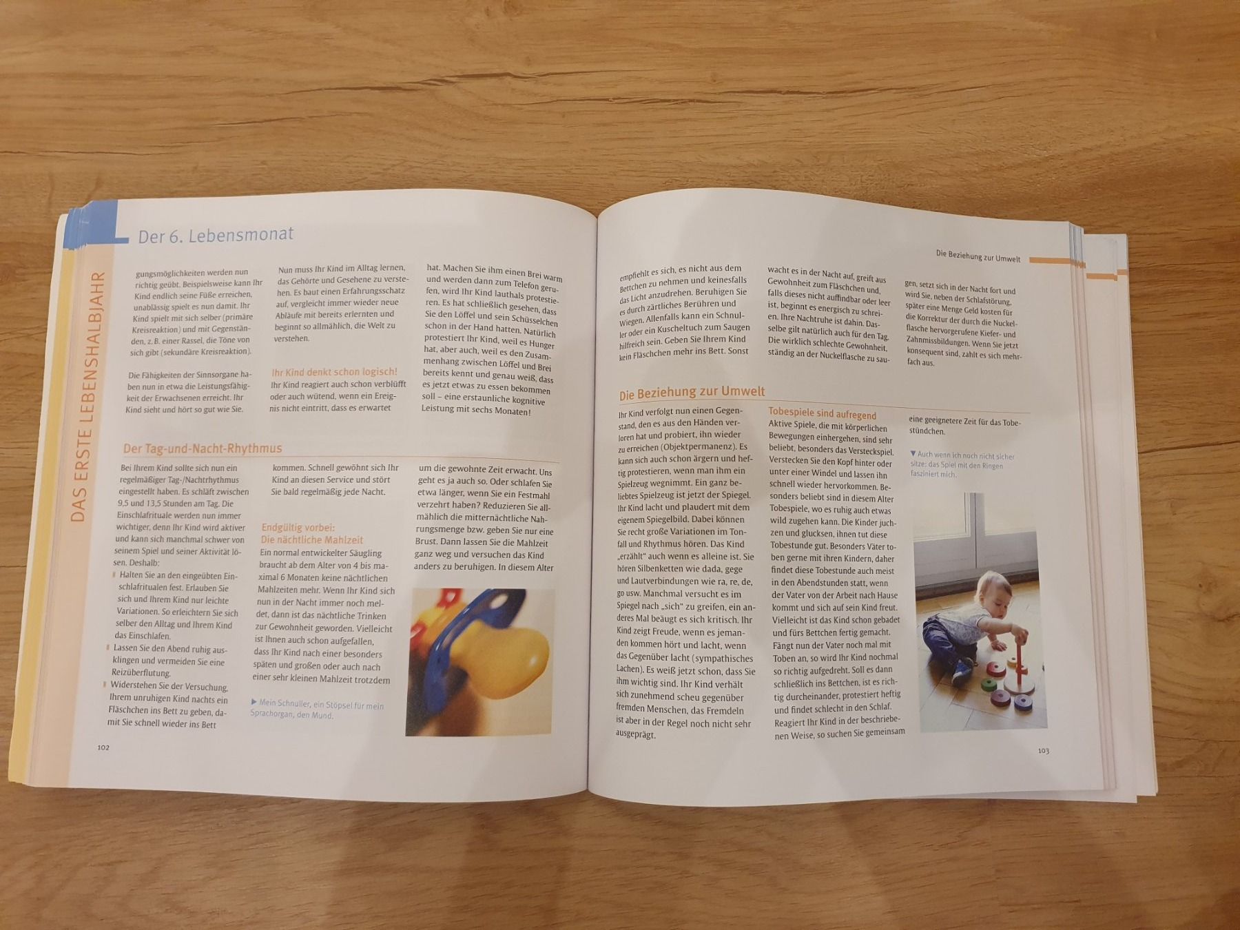 Bücher: Baumann: das Baby Entwicklungsbuch – Gebraucht aus Heinrichswil von frankie19860 2