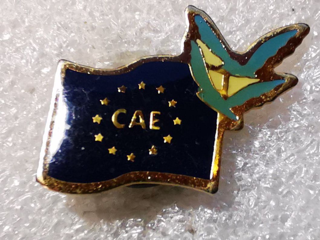 Placchette & Badge: Ansteckpin 36: CAE – Usato da Oppligen venduto da Pin-Fall-Shop