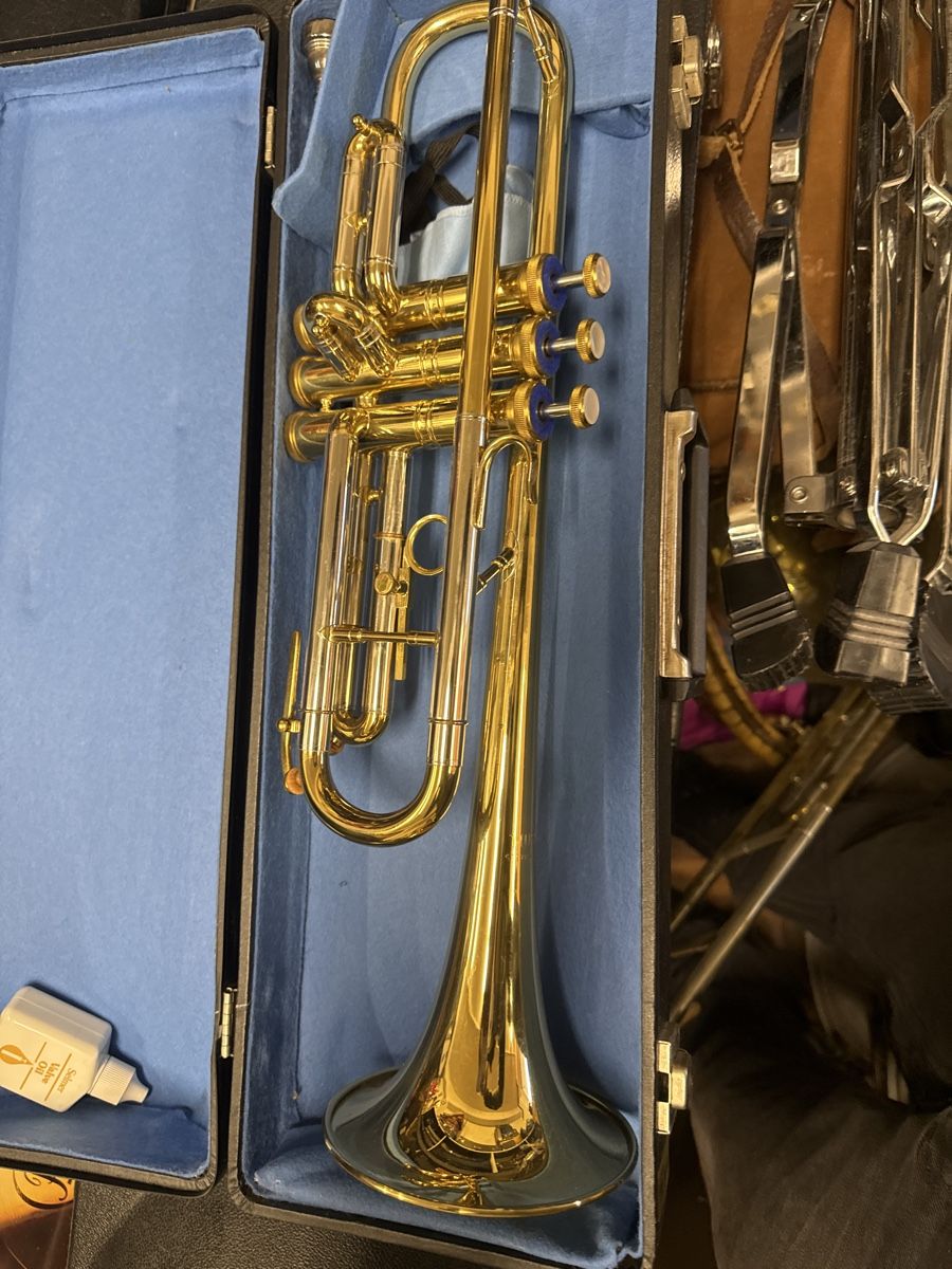 Strumenti musicali: Musica steyr austria  – Usato da Strengelbach venduto da HeidiHeidi09