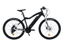 E-Bike