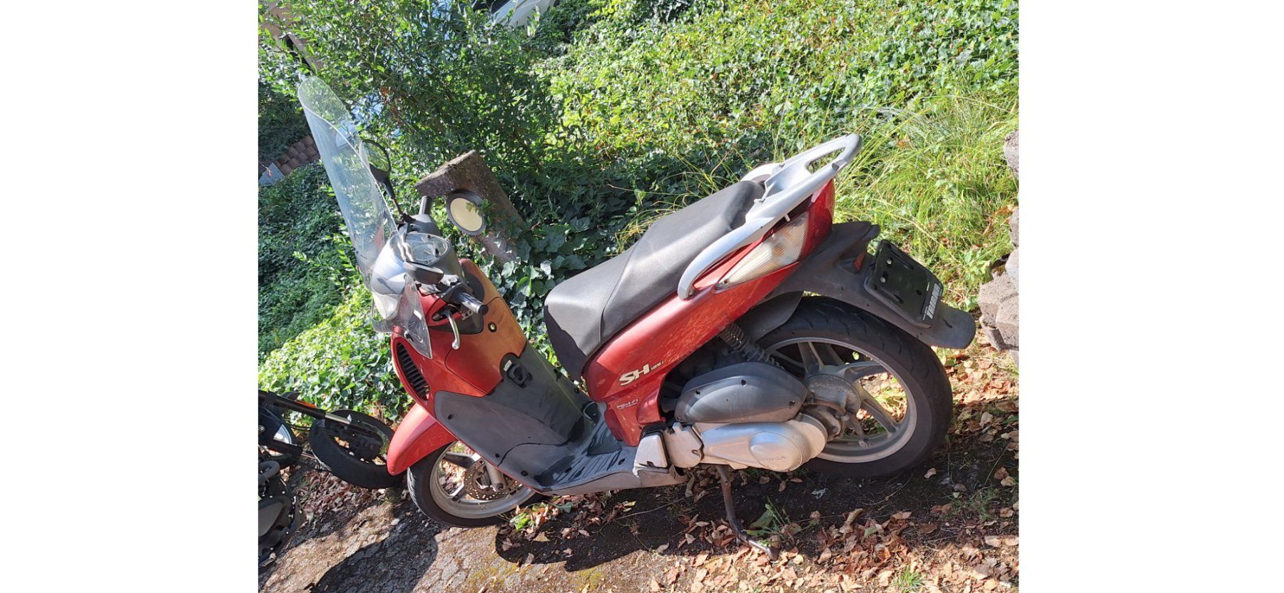 Honda Scooter: Roller, Honda SH125, 31902 km – Usato da Zürich venduto da patimrausch 3