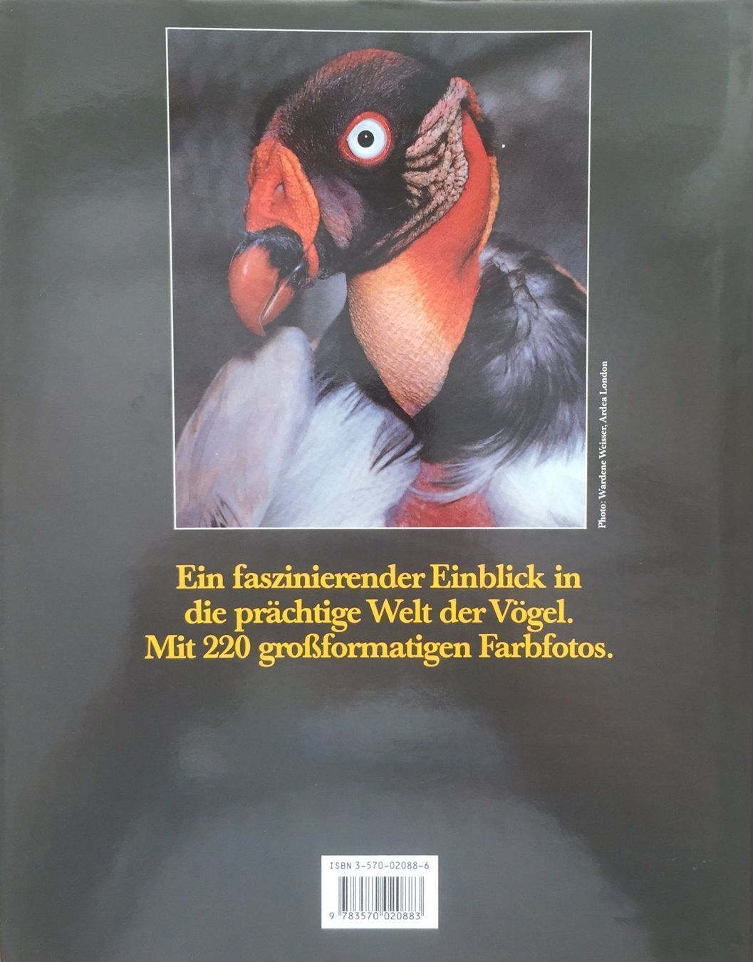 Libri: Buch - Das bedrohte Vogelparadies – Usato da Leimbach TG venduto da manu-tg 1