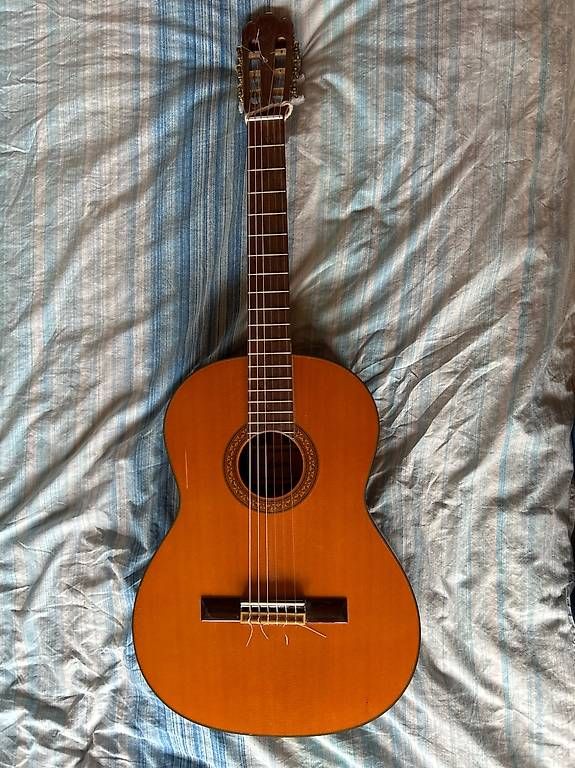 Strumenti musicali: Gitarre Ariana – Usato da Speicher venduto da Mugge3