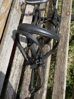 Trense wenig gebraucht Full