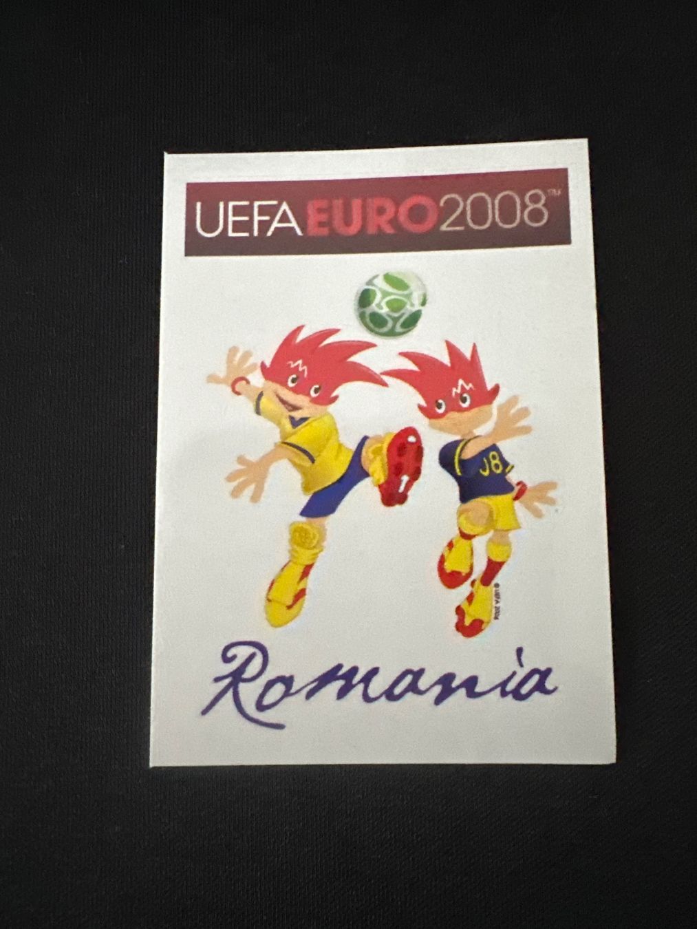 Panini Carte collezionabili: Panini UEFA EM 2008 Sticker - Nr. 306 – Usato da Sulz AG venduto da DealWerk