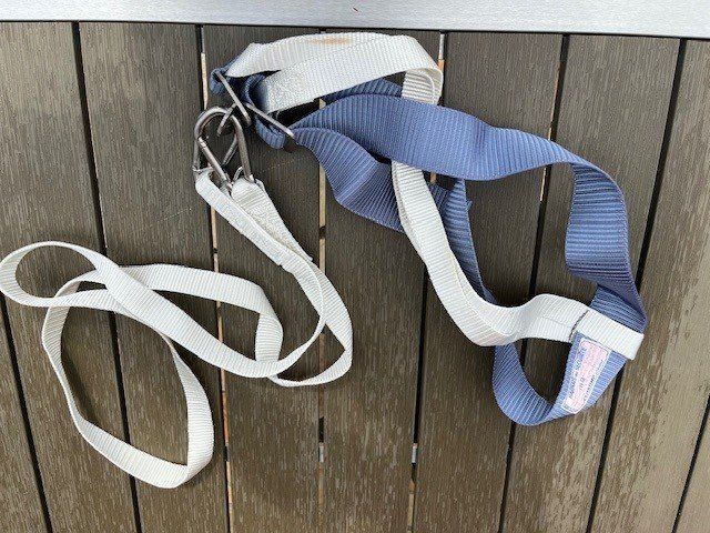 Cinture: Life belt – Usato da Müntschemier venduto da beno24 1