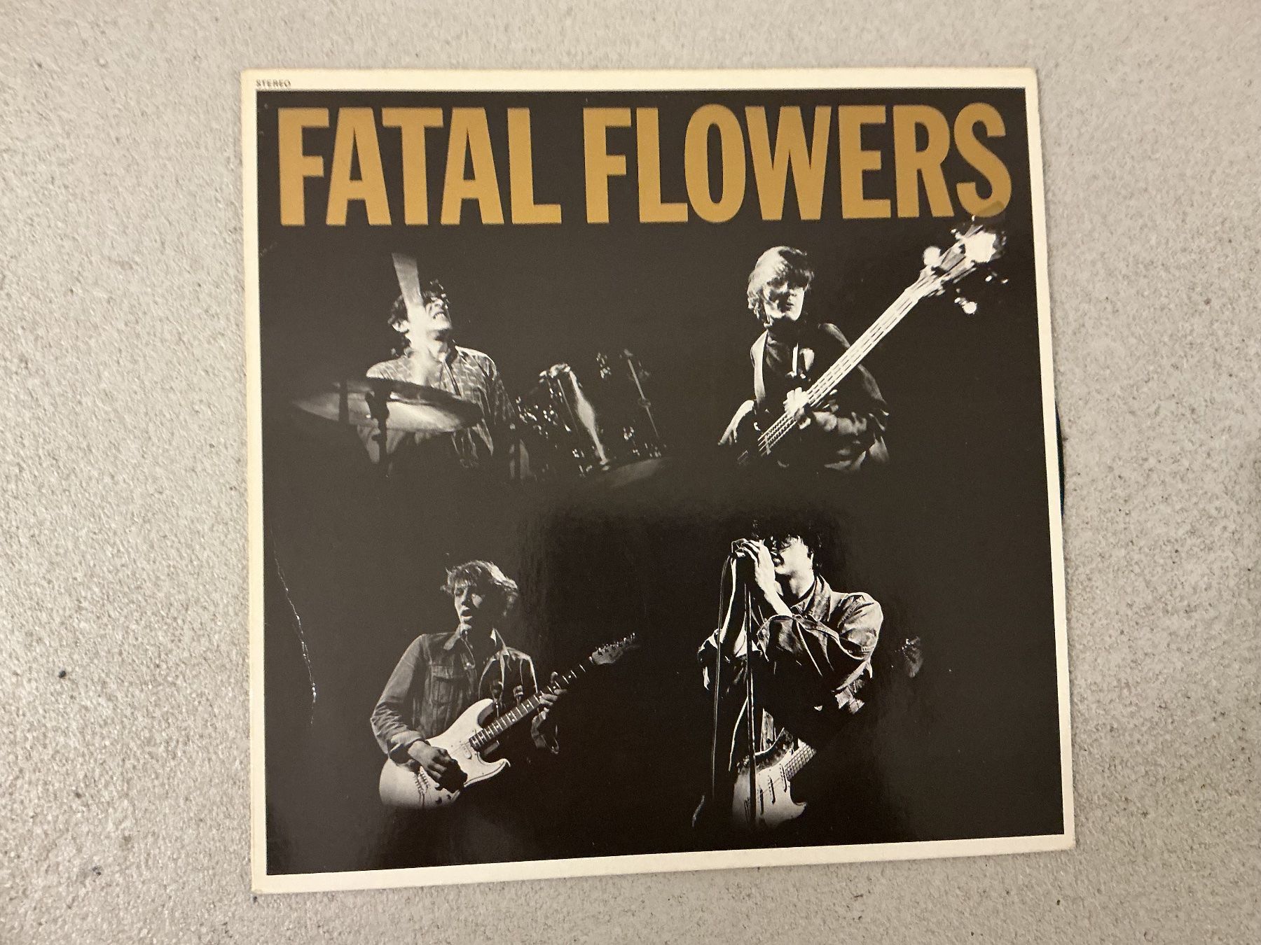 Dischi in vinile: Fatal Flowers LP – Usato da Winterthur venduto da Tumko-Vinyl