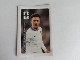 WM 26 Panini Coca Cola 12 - Antonee Robinson