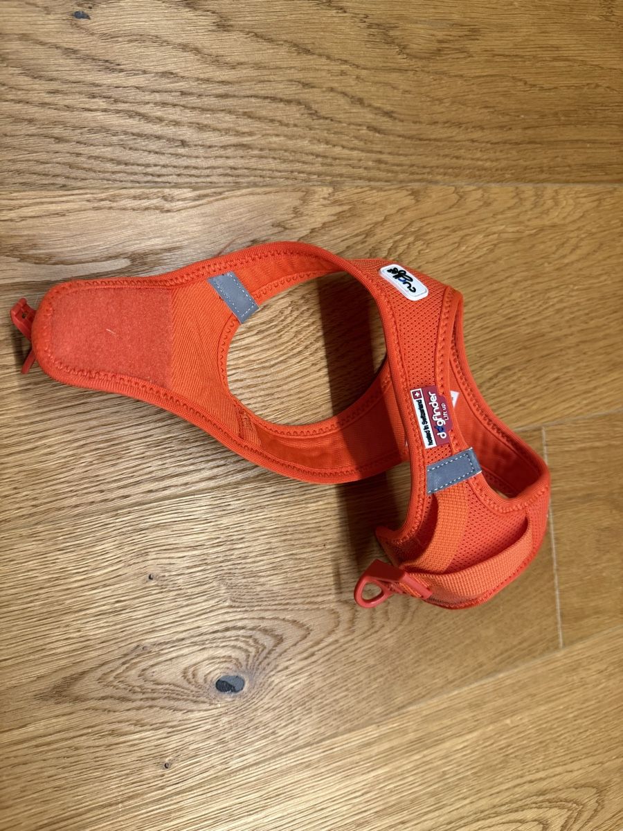 Sport dell'aria & Aquiloni: Curli Hundegstältli, S – Usato da Winterthur venduto da 2mirj 2