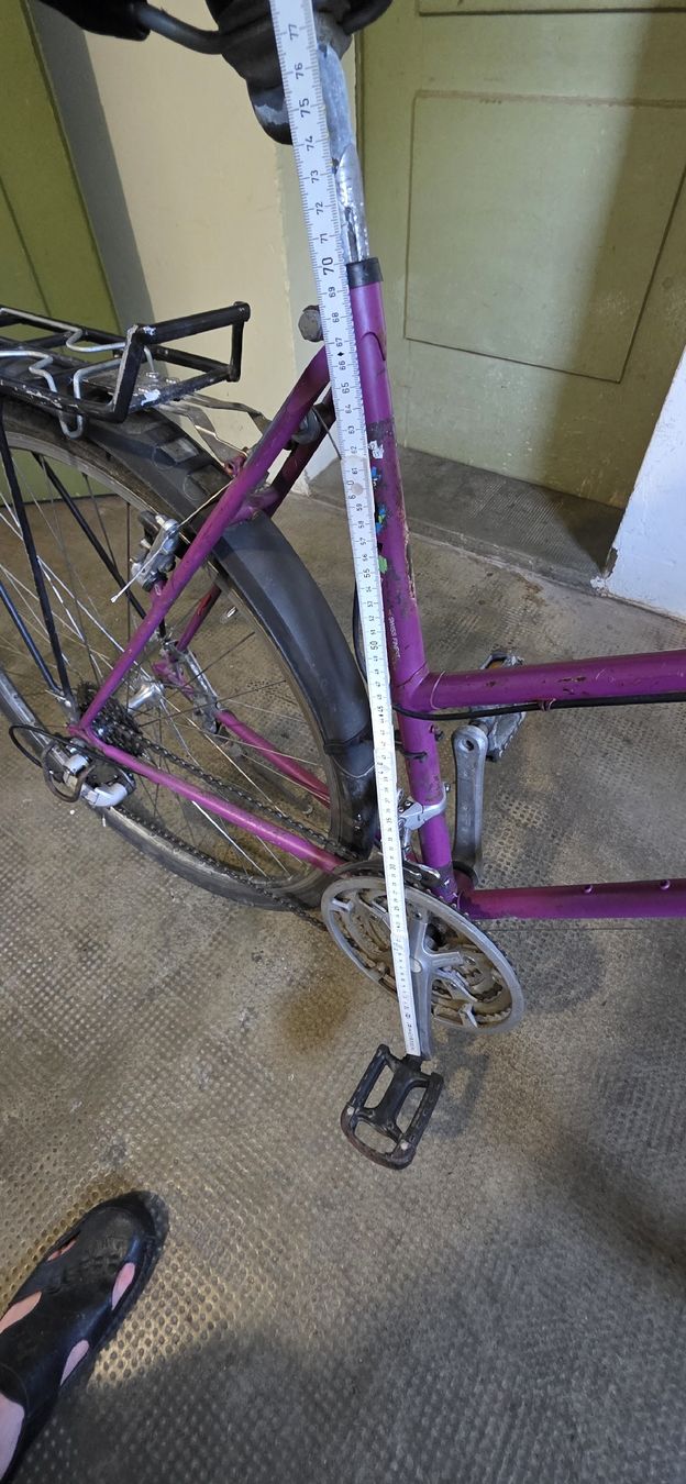 Biciclette: Damen Velo – Usato da Solothurn venduto da mar_8qf8 5