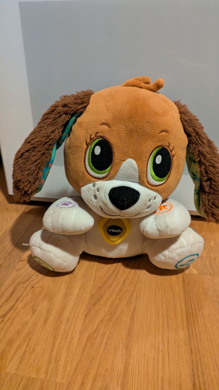 Vtech Giocattoli: Vtech sprich mit dir Hund – Usato da Wettingen venduto da Nini54