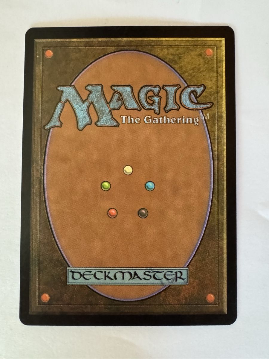 Magic The Gathering Carte collezionabili: MTG Gebirge Foil 7th Edition John Avon – Usato da Stadel venduto da bewinshop 1