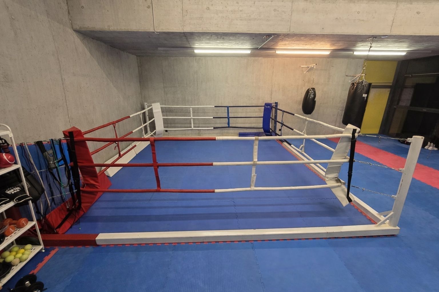 Giochi: Lonsdale Boxring – Usato da Bad Ragaz venduto da Scoor 1