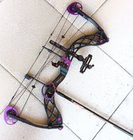 Arco compound da competizione Bowtech Carbon Rose