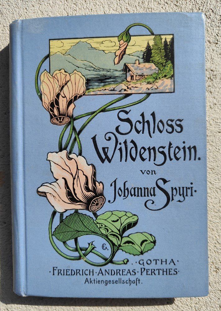 Libri: Schloss Wildenstein – Usato da Sigriswil venduto da Ricola1977