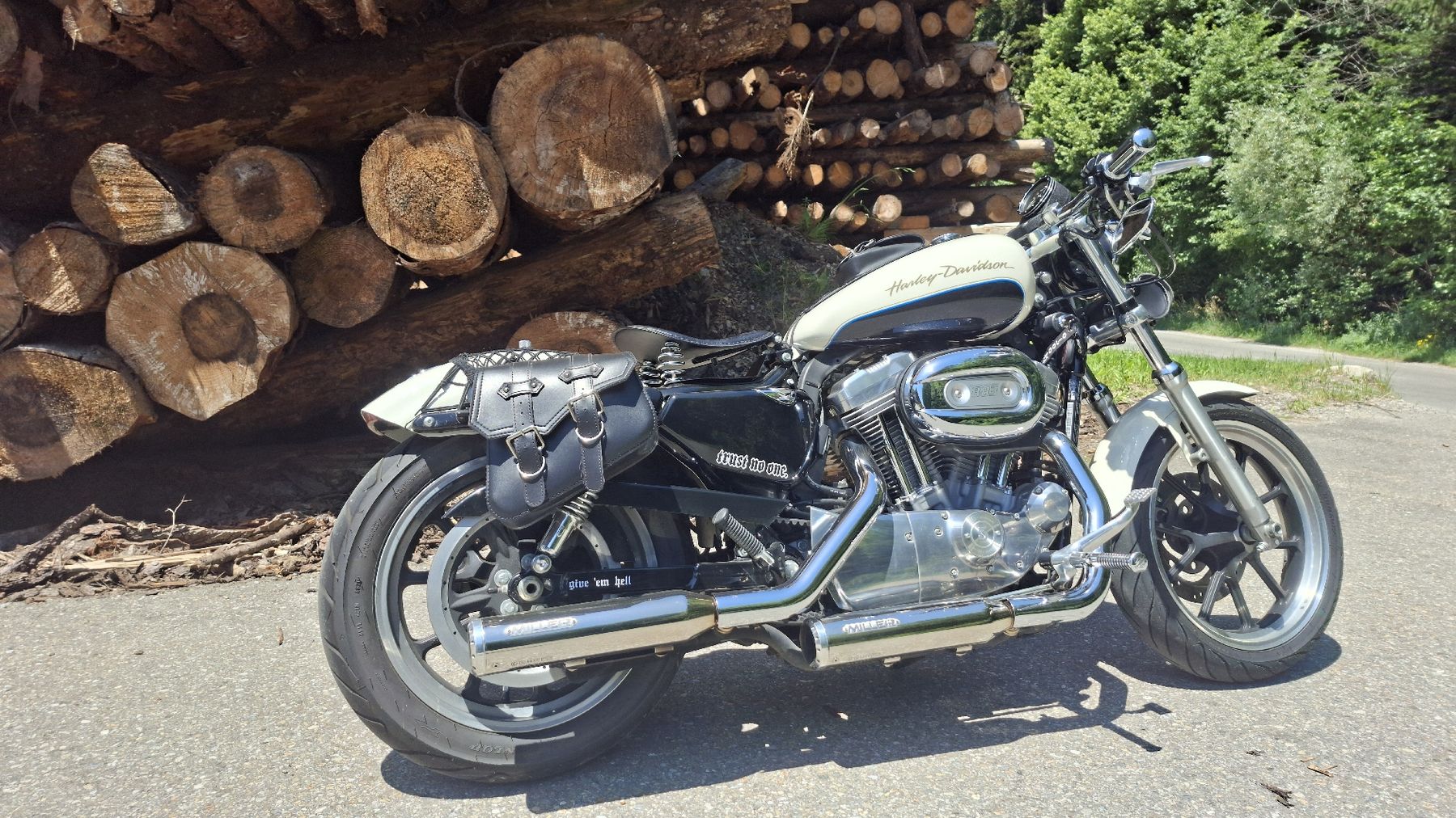 Harley-Davidson Chopper: Harley Davidson  XL 883 L , 2013 , 19Tkm – Gebraucht aus Schliern b. Köniz von sacatudo 7