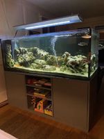 Tolles, sehr gepflegtes Pool-Aquarium 160x60x60 cm, komplett