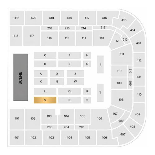 Tickets: Céline Dion Tickets - Samstag 19.09.2026 - Block M – Neu und originalverpackt aus Wohlen AG von OOS-Tickets 1