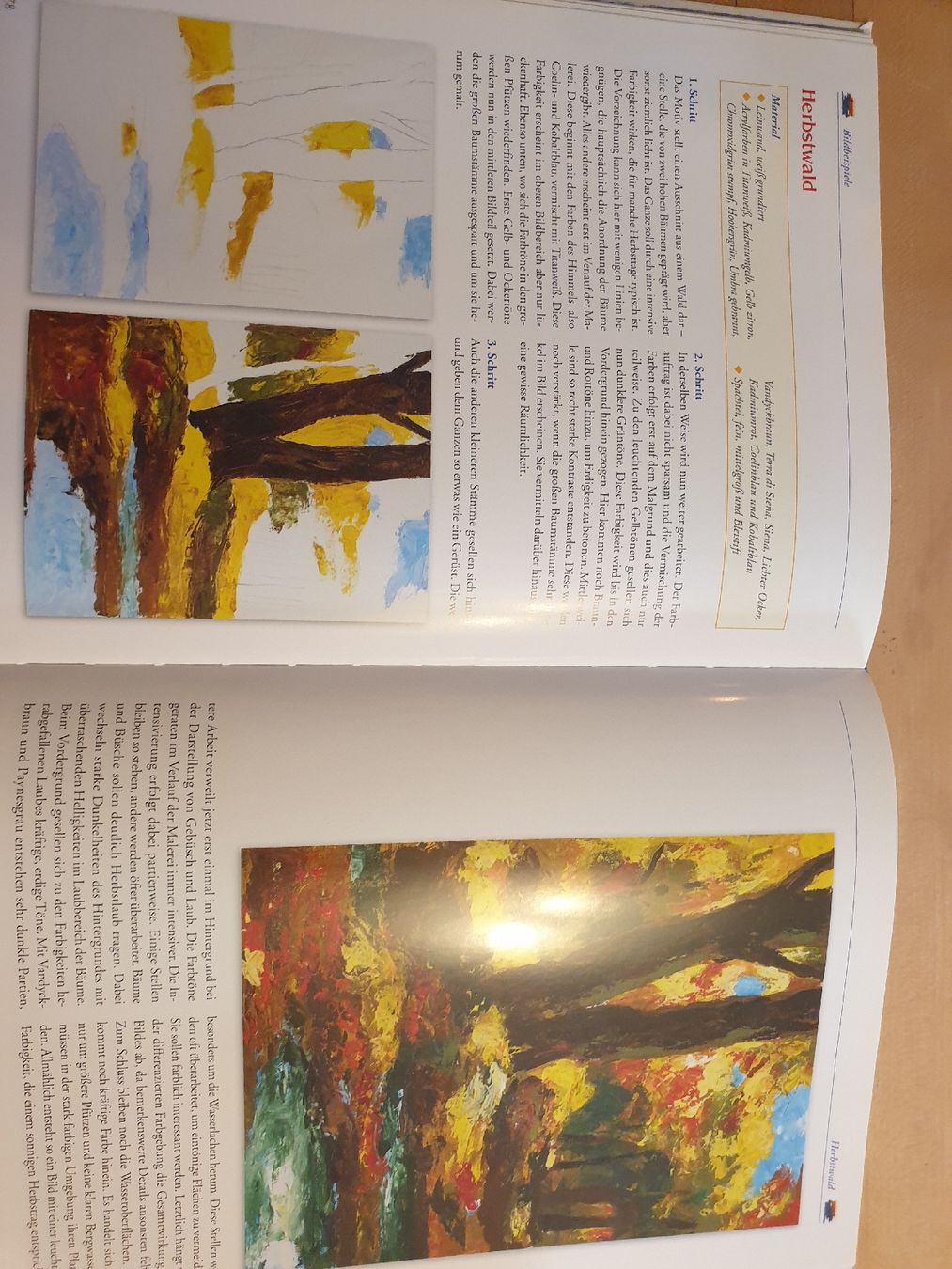 Libri: sachbuch acrylmalerei – Nuovo (secondo la descrizione) da Rebstein venduto da AntikesundKrempel 3