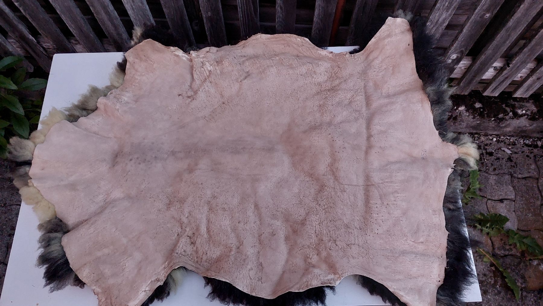 Coperte: Lammfell Bündner Oberland Schaf CH  – Nuovo (secondo la descrizione) da Berschis venduto da ron_z68v 1