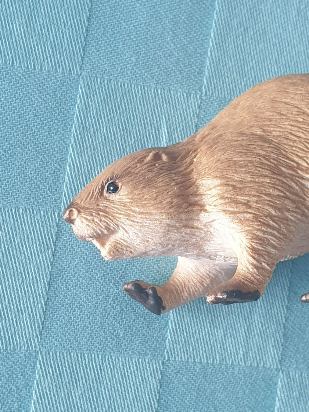 Schleich Statuette: Biber Tier Schleich – Usato da Mörschwil venduto da spirspi 2