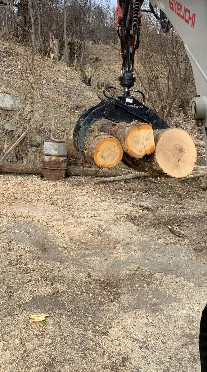 Pinze: Holzgreifer für Bagger – Usato da Schlans venduto da nAAtii 2