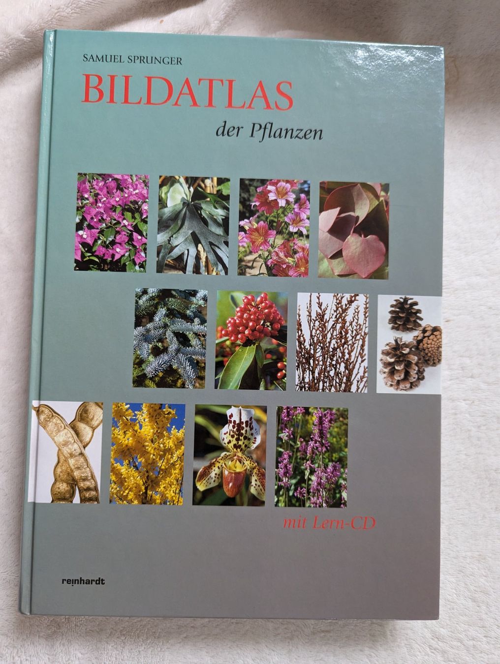 Libri: Bildatlas der Pflanzen – Usato da Egg b. Zürich venduto da ana_5xpl