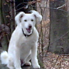 Profile image of snowy36