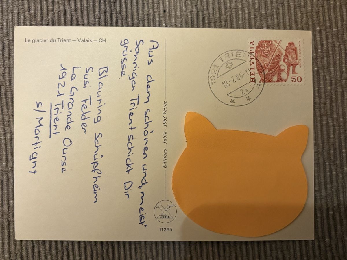 Cartoline postali: AK von Le glacier du Trient – Usato da Rümlang venduto da Kartenpost1 1