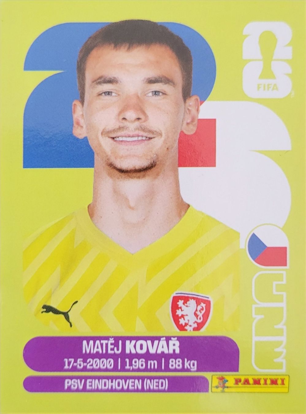 Panini Carte collezionabili: Panini FIFA World Cup CZE 2 – Nuovo (secondo la descrizione) da Wallisellen venduto da never_give_up