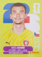 Panini FIFA World Cup CZE 2