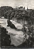 Rheinfall mit Schloss Laufen