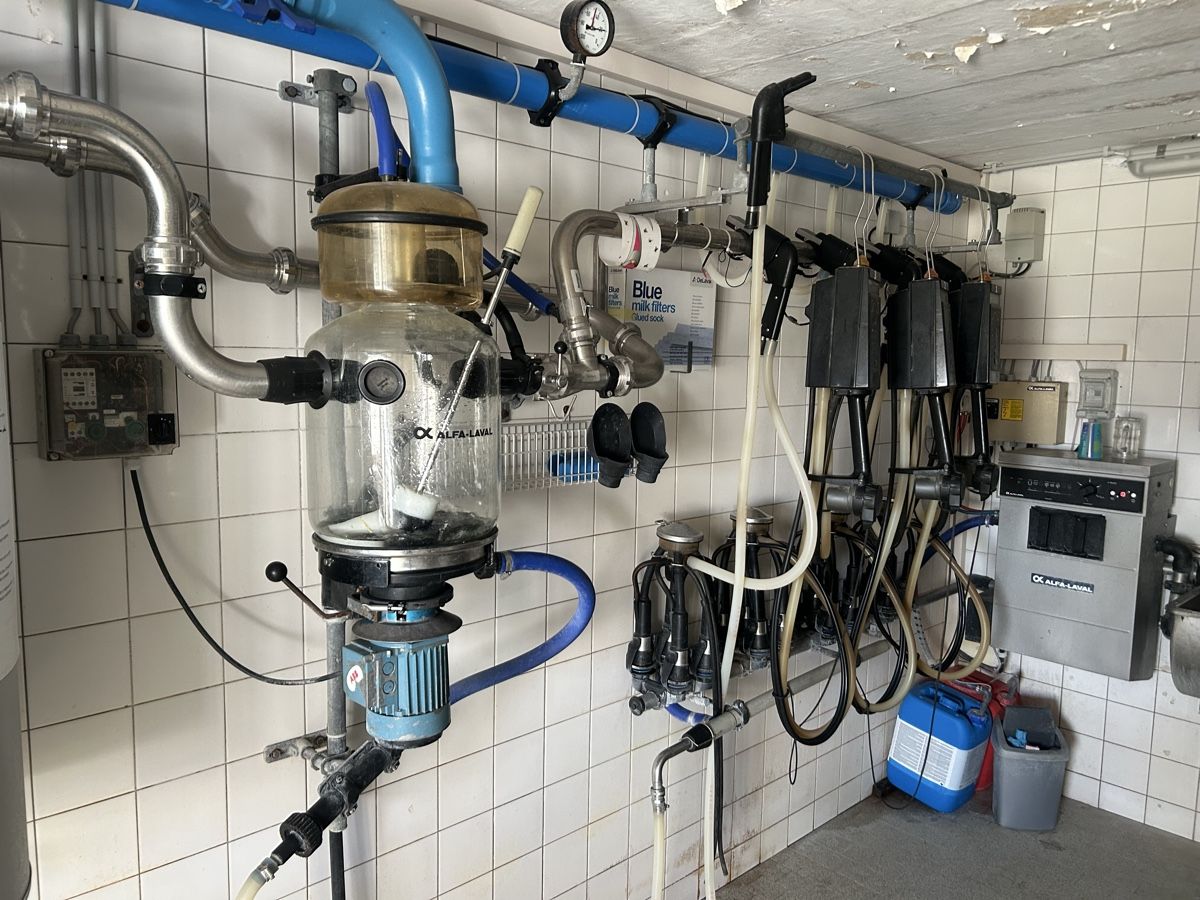 Delaval Tutte le macchine: Melkanlage De Laval – Usato da Gümligen venduto da melchenbuehlgut 1